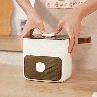 Handled Press-Type Ice Cube Tray (Double-Layer)