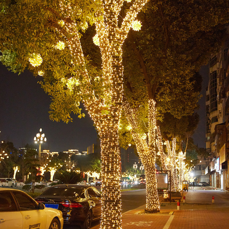 LED Copper Wire Firecracker Light String