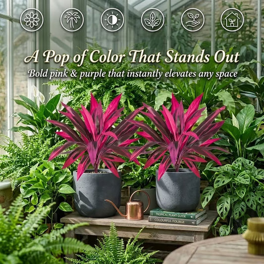 2Pcs Artificial Boston Fern & Dragon's Blood Tree Plants | Vibrant Pink Purple Faux Plants for Garden Patio Balcony Decor 🌼